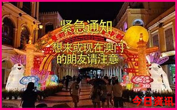 白虎精准资料